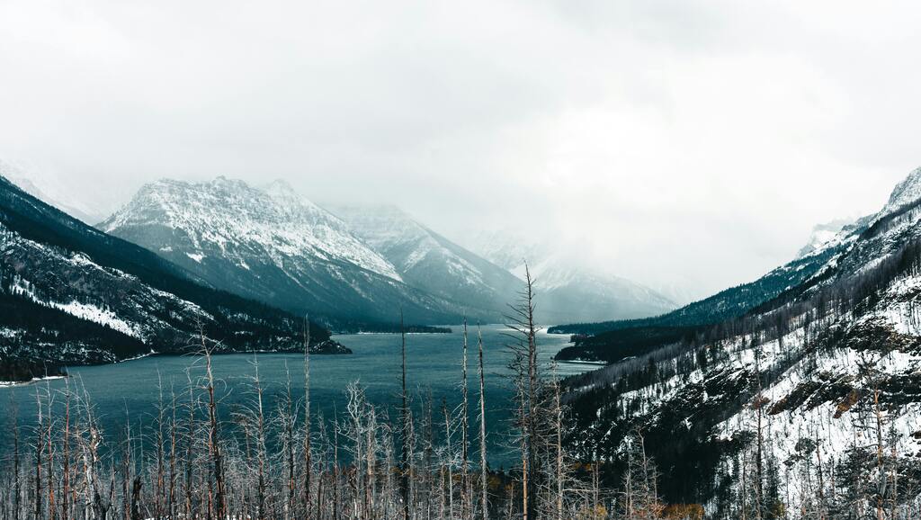 Snow-covered mountains surrounding Waterton Lake on a misty winter day, with bare trees in the foreground, photographed by Ali Kazal.