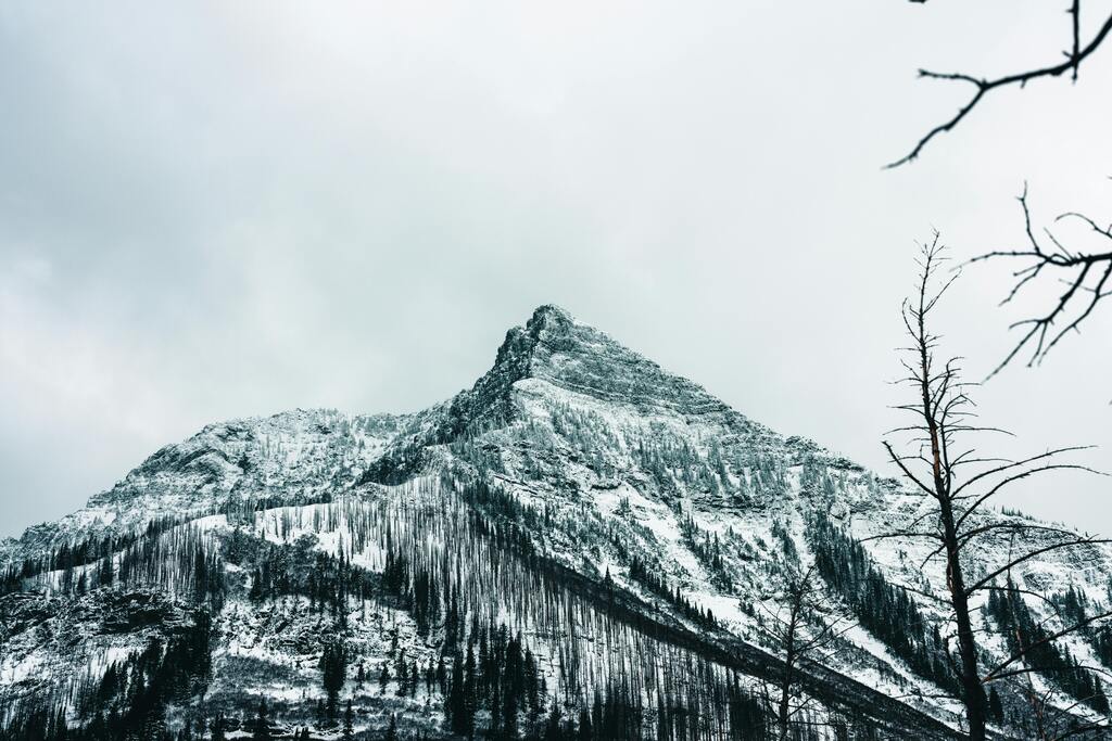 Greyscale snowcovered mountain, Waterton Lakes National Park, Image taken by Ali Kazal